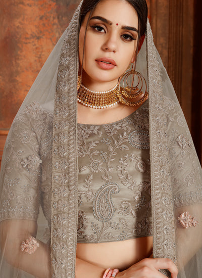 Light Brown Soft Net Wedding Wear Lehenga Choli